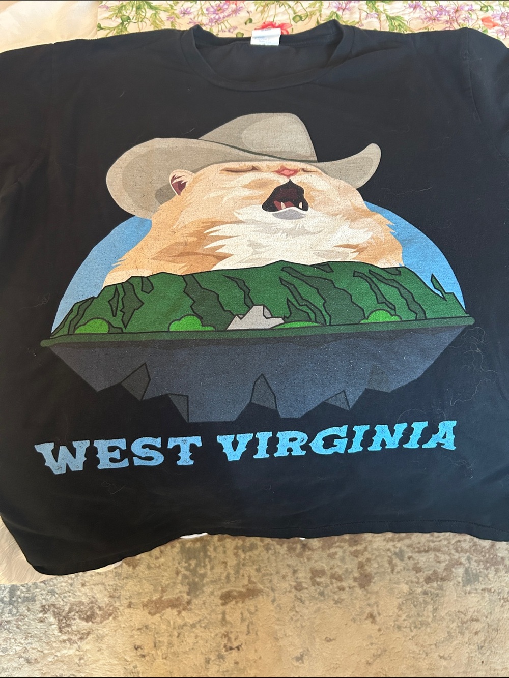 Port and Company Black Tee with Multicolor Yawning Cat and Mountain Graphic